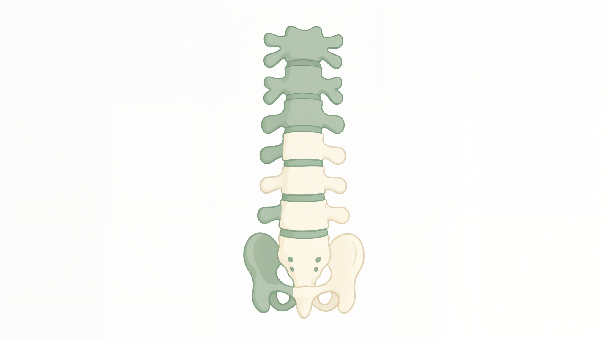 Reno Chiropractors: The Complete Guide to Back Pain and Wellness
